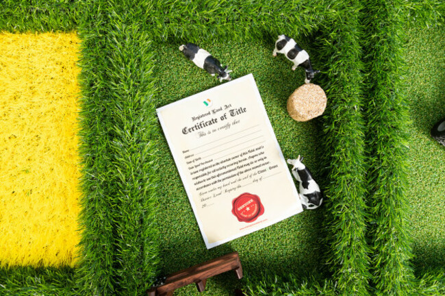 20180601-The-Field-14-SocialMedia