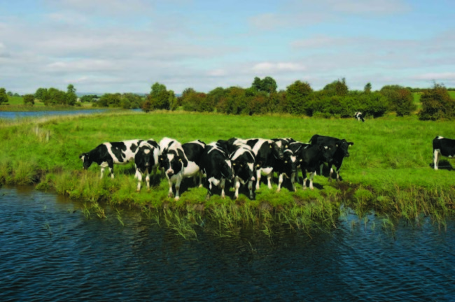 Cruises on the Shannon