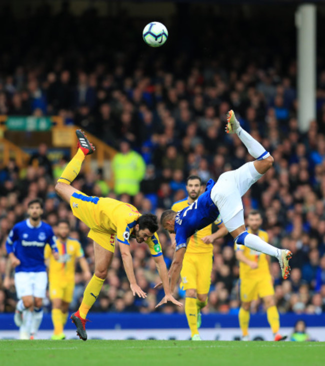 Everton v Crystal Palace - Premier League - Goodison Park