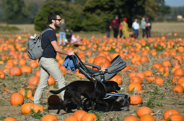 Undley Pumpkin Patch