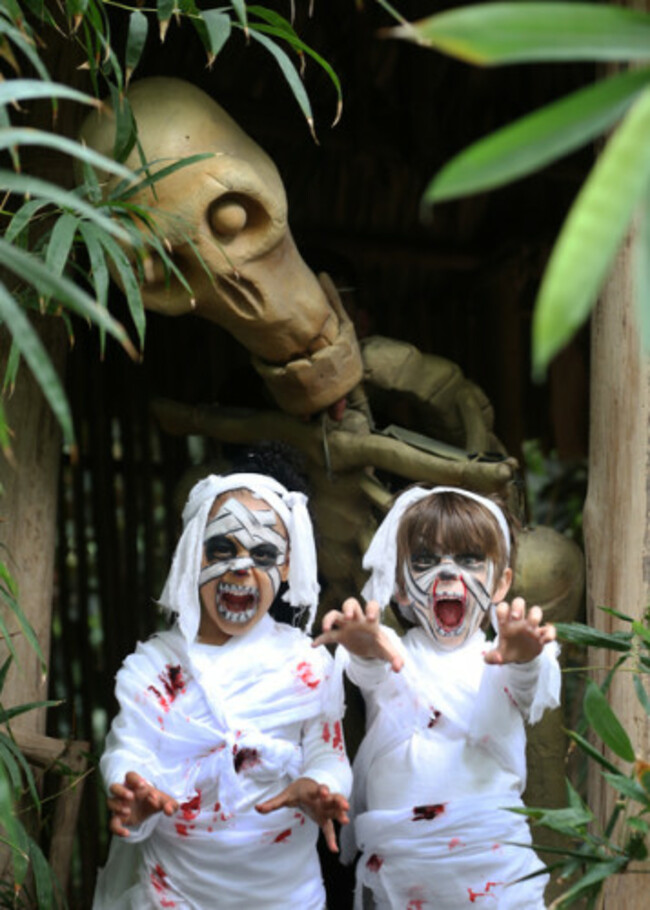 0310 Launch of the Bram Stoker Festival18_90555461