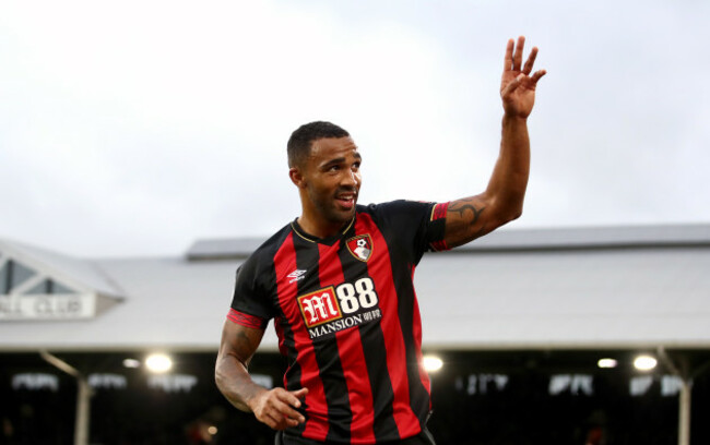 Fulham v AFC Bournemouth - Premier League - Craven Cottage
