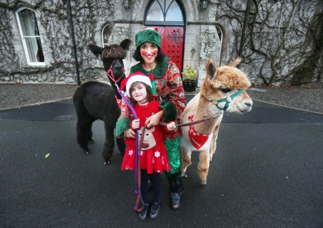 3  Santa at Barreststown_90559391