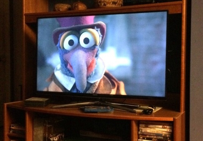 23794646410_4891b8297a_o