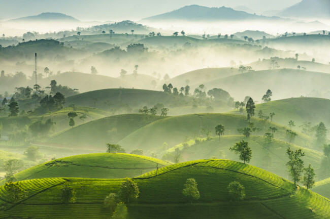 4039_11465_NguyenPhucThanh_Vietnam_Open_Landscape_2019