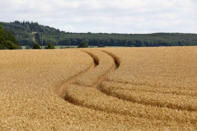 8500 Fields_90550155