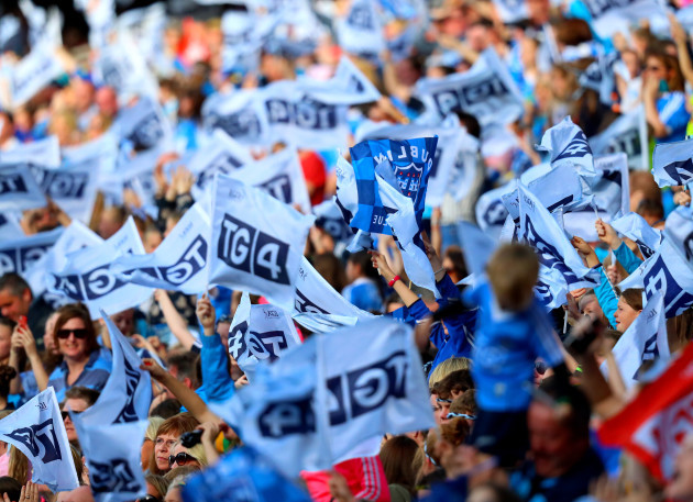 A view of Dublin flags in the crowd