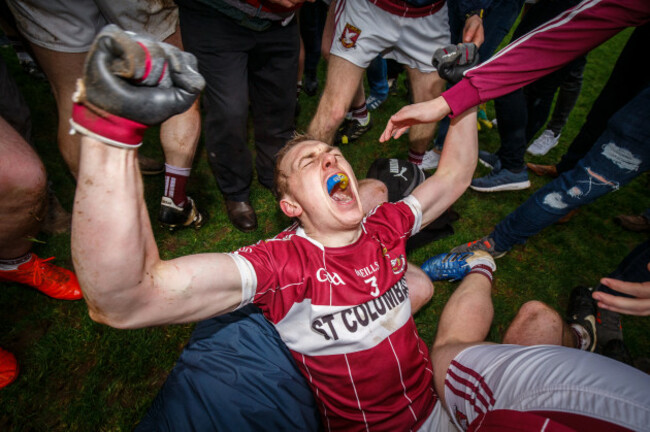 Patrick Fox celebrates after the game