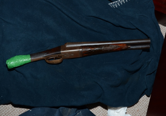 firearm