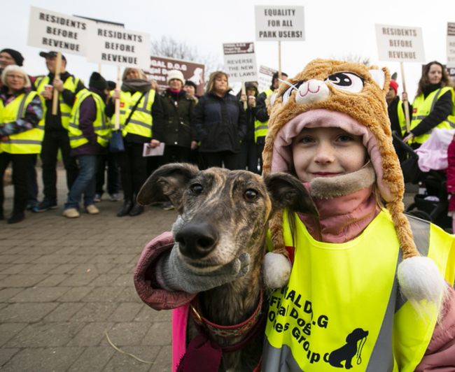 Dog Protest.