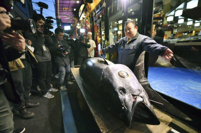 Japan Tuna Auction