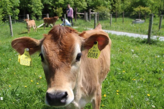 33844743_1620043544769973_2762543842623225856_o