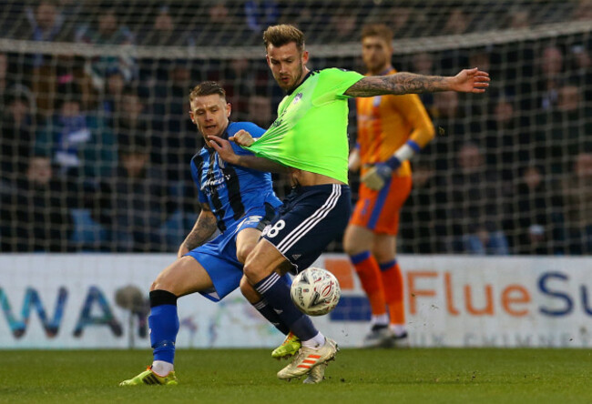 Gillingham v Cardiff City - Emirates FA Cup - Third Round - Priestfield Stadium