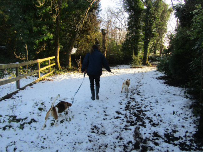ISPCA Winter Pet Care Tips and Advice