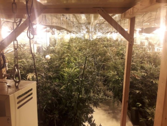 growhouse