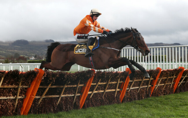 Festival Trials Day - Cheltenham Racecourse