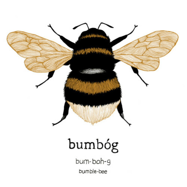 bumbog_bumblebee