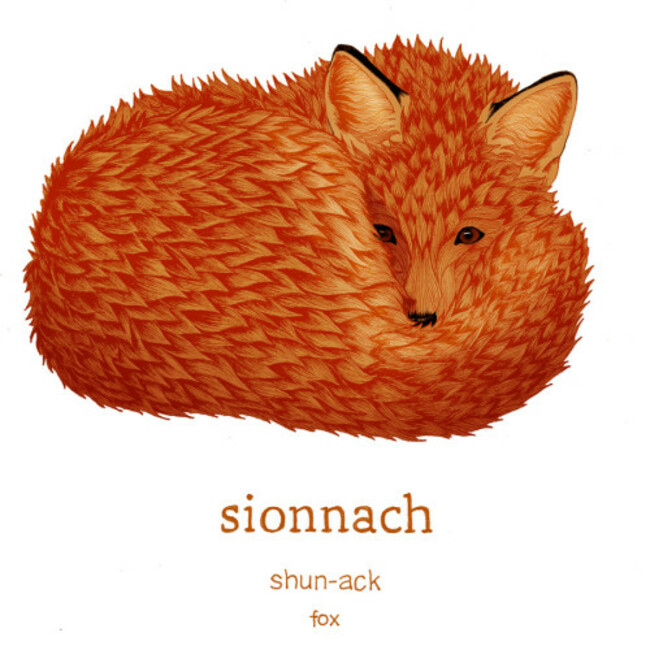 sionnach_fox