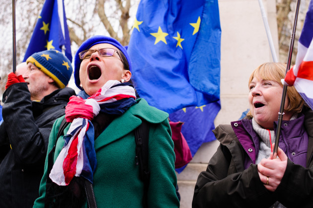 Protest against Brexit outside Houses of Parliament in London, UK - 29 Jan 2019