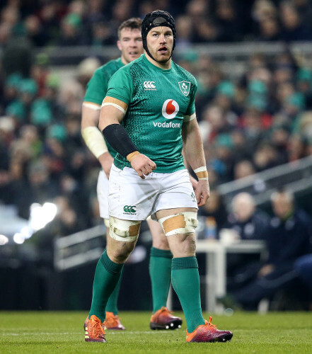 Ireland back row Sean O'Brien to join London Irish after World Cup