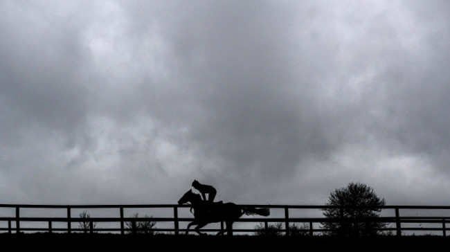 Equine Flu Outbreak