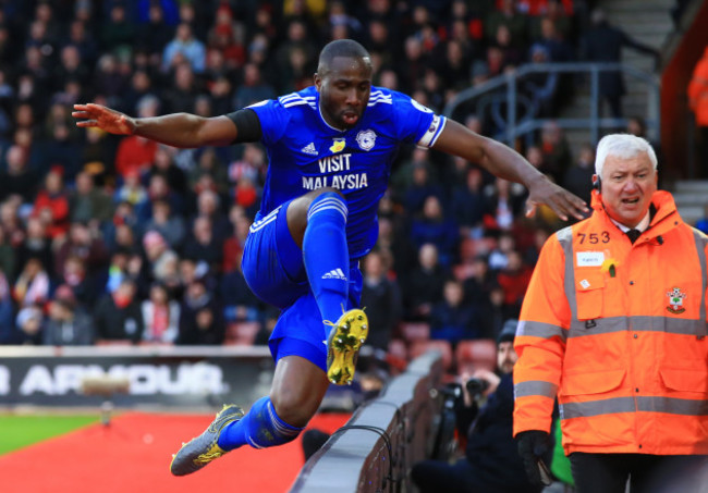 Southampton v Cardiff City - Premier League - St Mary's Stadium