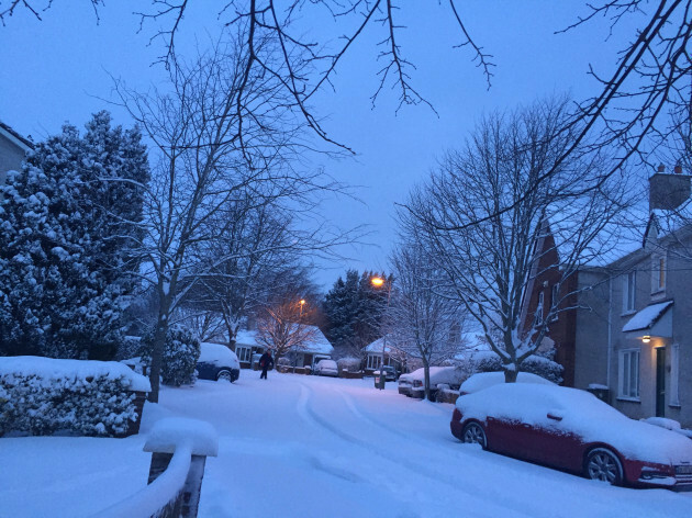 Red Alerts And Total Wipeouts How The Beast From The East Brought The County To A Grinding Halt