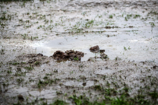 A view of the waterlogged pitch which caused the game to be postponed