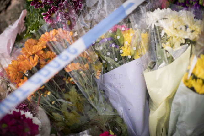 Harold Hill fatal stabbing