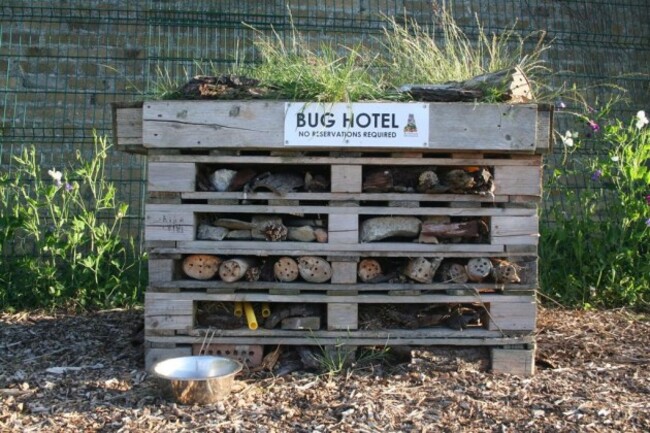 47356a87-835c-4582-a197-72b2757f8581