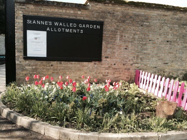 Double Take The Dublin Allotment That Was Once The Guinness