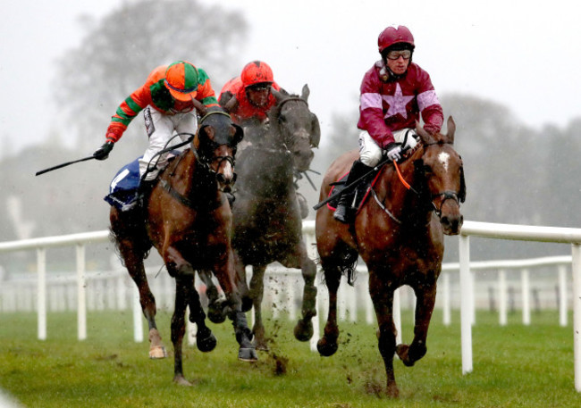 Woods Well ridden by Mark Enright on his way to winning the TRI Equestrian Handicap Chase