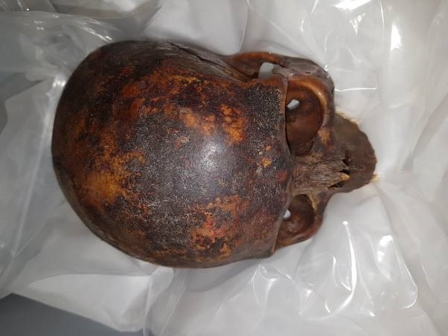 The Crusader's skull