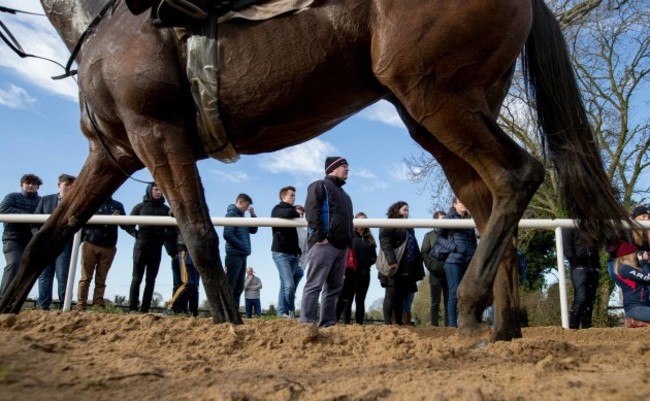 Gordon Elliott looks on as his horses do their morning work