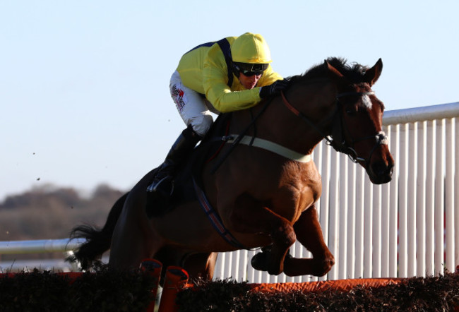 The Ladbrokes Winter Carnival - Day One - Newbury Racecourse