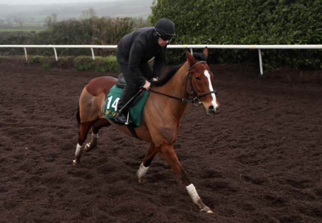 Willie Mullins Stable Visit