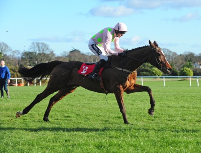 Dublin Racing Festival - Day One - Leopardstown Racecourse