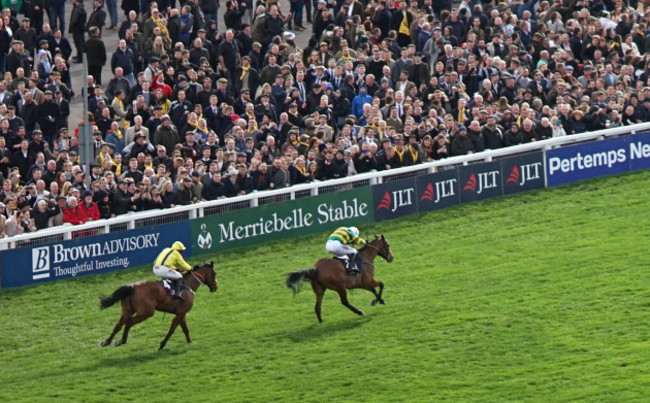 2019 Cheltenham Festival - St Patrick's Thursday - Cheltenham Racecourse