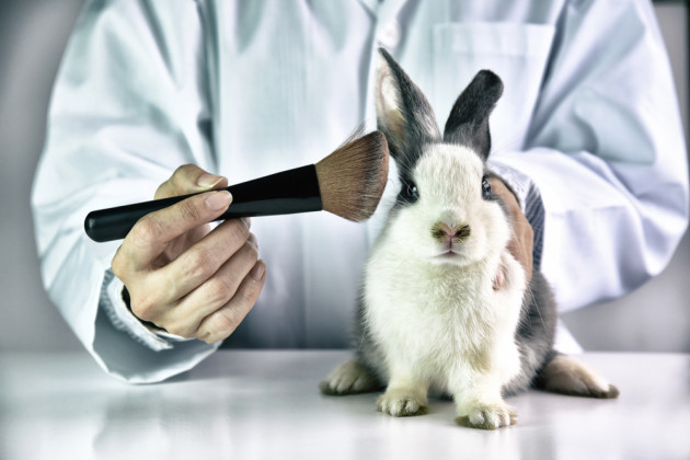 Resultado de imagen de animal testing