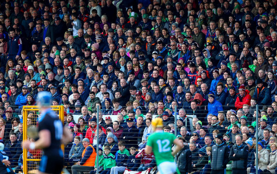 Fans at the game