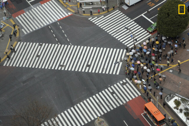 Umbrella Crossing