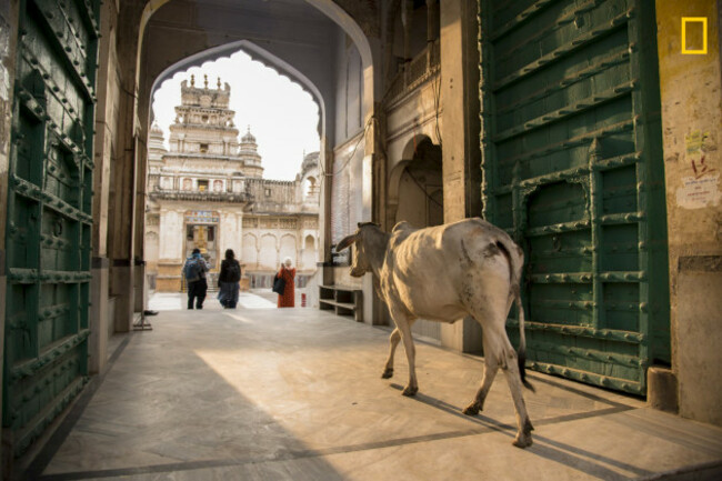 Entering the temple