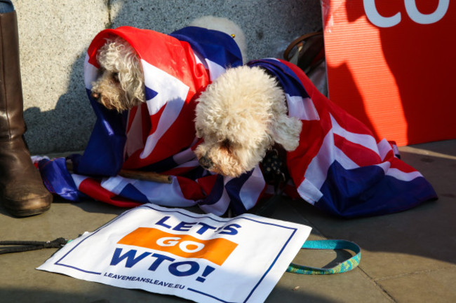 Brexit protest in London, UK - 28 Mar 2019