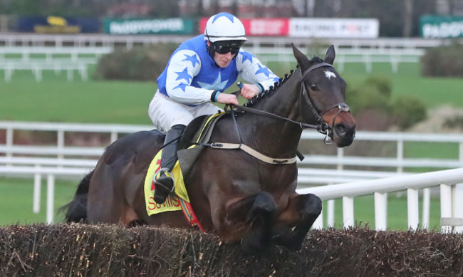 Leopardstown Christmas Festival - Day Three - Leopardstown Racecourse