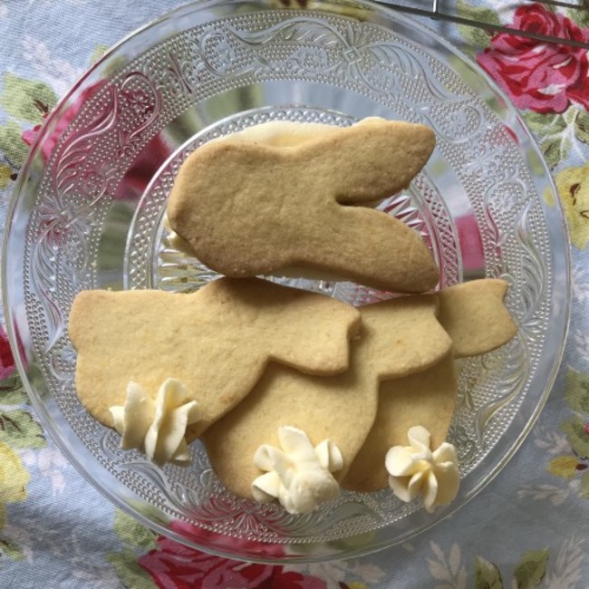 Easter Bunny Cookies