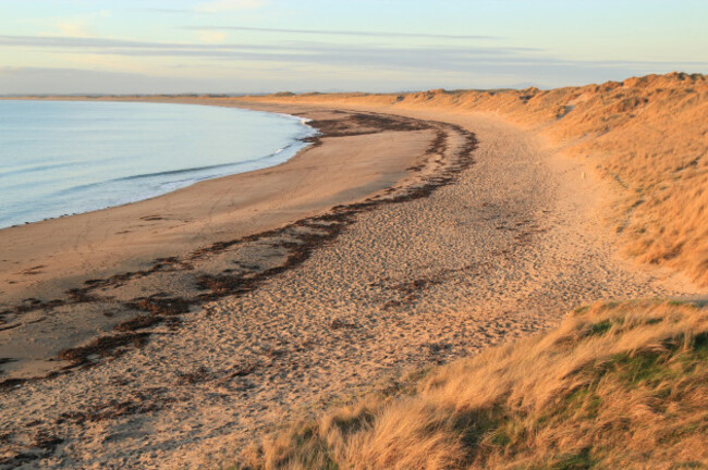 Ballyteige Burrow-Richard Creagh