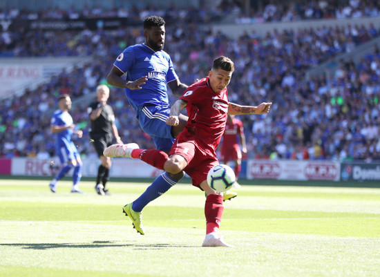 Cardiff City v Liverpool - Premier League - Cardiff City Stadium