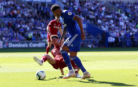 Cardiff City v Liverpool - Premier League - Cardiff City Stadium