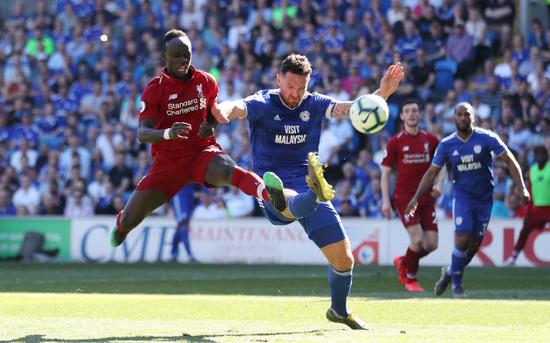 Cardiff City v Liverpool - Premier League - Cardiff City Stadium