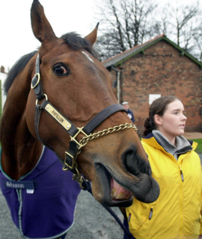 Aintree Papillon arrival